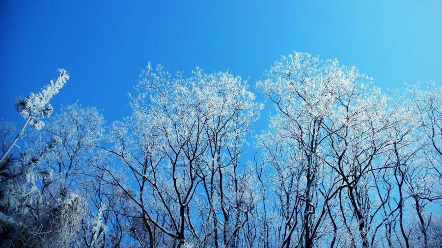 Метель и гололед накроют регионы Казахстана