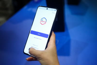Минцифры: теперь на Госуслугах можно проверить чужие долги и производства