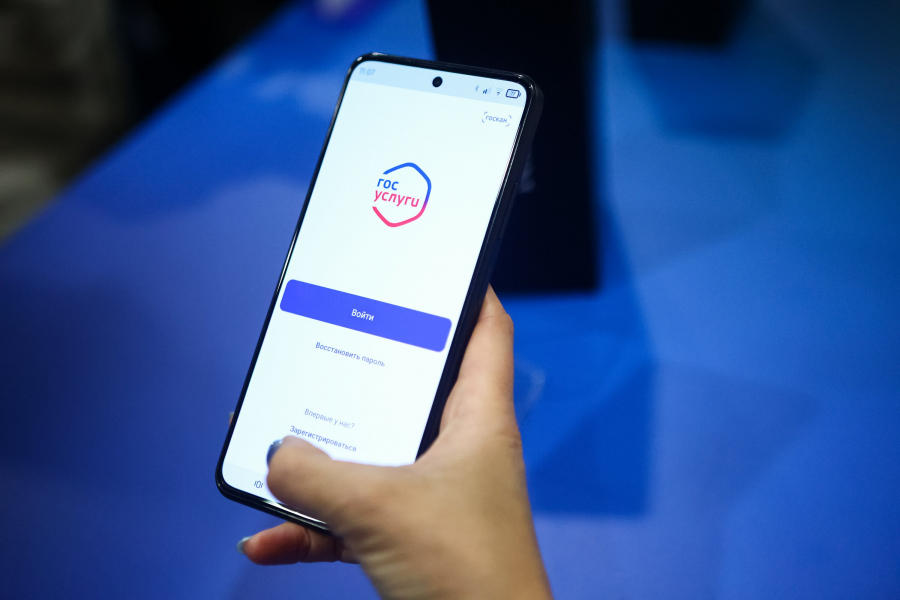 Минцифры: теперь на Госуслугах можно проверить чужие долги и производства