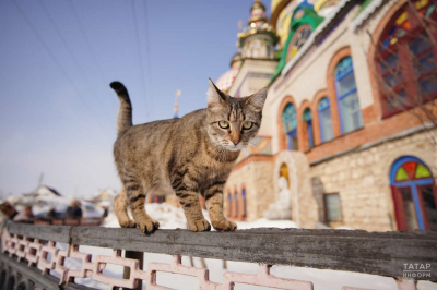 В Казани побиты температурные рекорды 2020 и 2025 годов