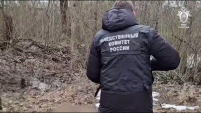 Закопал тело у станции: появилось видео с места убийства и расчленения подростка 19/03/2026 &ndash; Новости
