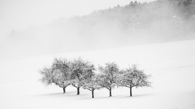 Туман и гололед накрыли регионы Казахстана