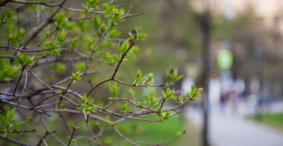 Синоптик Ильин заявил, что потепление в Подмосковье начнется после 12 апреля