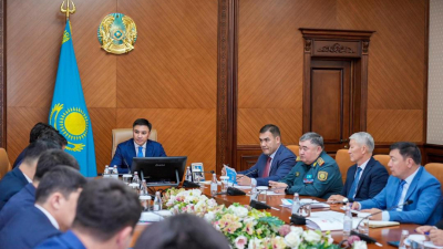 Меры борьбы с лесными пожарами обсудили в акимате Шымкента