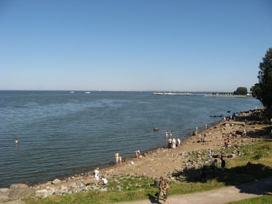 Конфискованный замок иноагента: что станет с поместьем Невзорова* у Финского залива