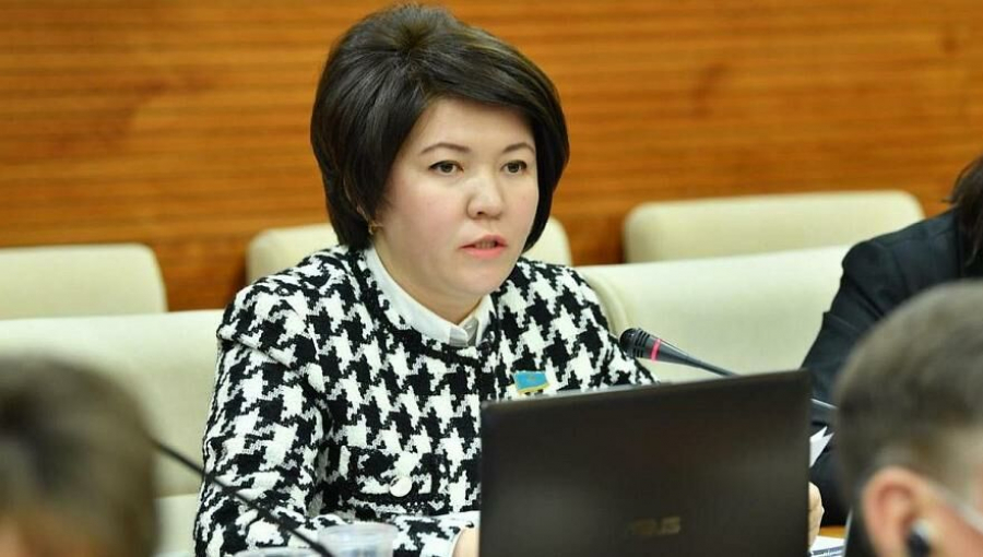 Жулдыз Сулейменова стала министром просвещения Казахстана