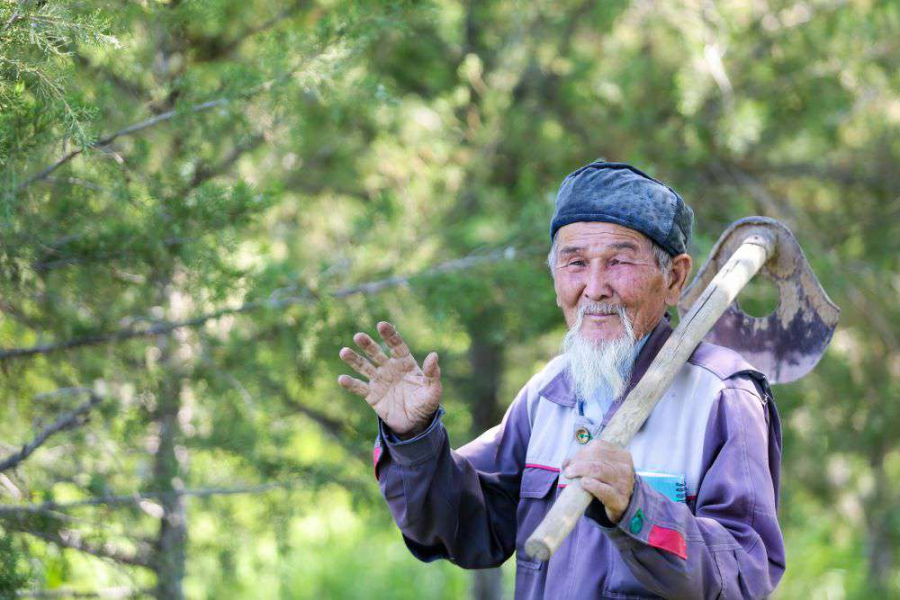 85-летний Бектай Сулейменов вырастил за свою жизнь свыше двух миллионов деревьев