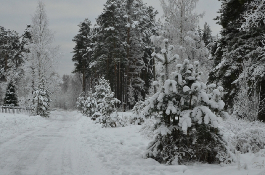 Пропавшую на Валааме послушницу из Екатеринбурга нашли мертвой