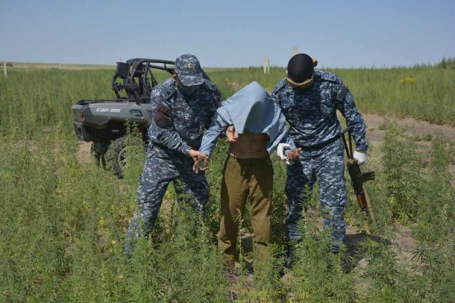 Ночные вылазки за кайфом