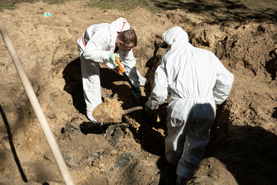 Поисковики нашли массовое захоронение детей в Ленобласти