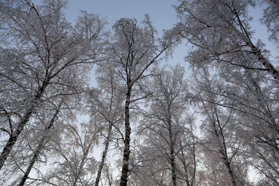 Снегопад обрушится на Москву и Подмосковье 27&ndash;28 апреля