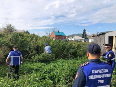 Плантацию конопли обнаружили в Акмолинской области