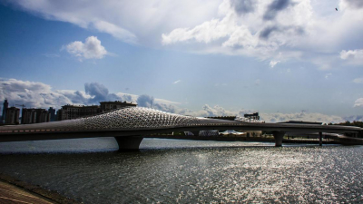 Казахстанец проехал на спор по пешеходному мосту и оказался за решеткой (видео)