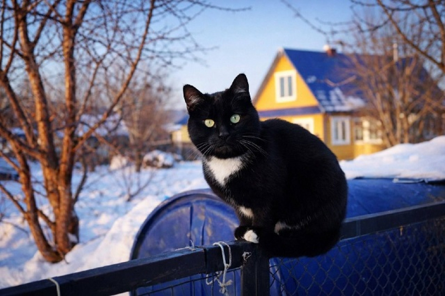 Теплые выходные: в Татарстане воздух прогреется до +15, пройдет дождь