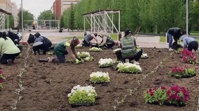 30 тыс. квадратных метров цветов высадят в Павлодаре