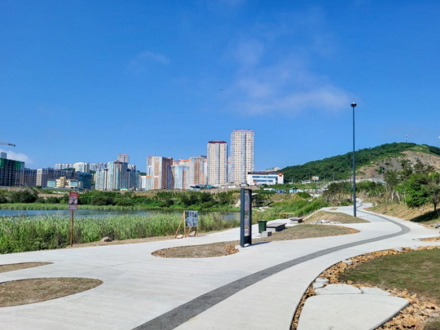 Названы сроки тотальной русификации вывесок во Владивостоке