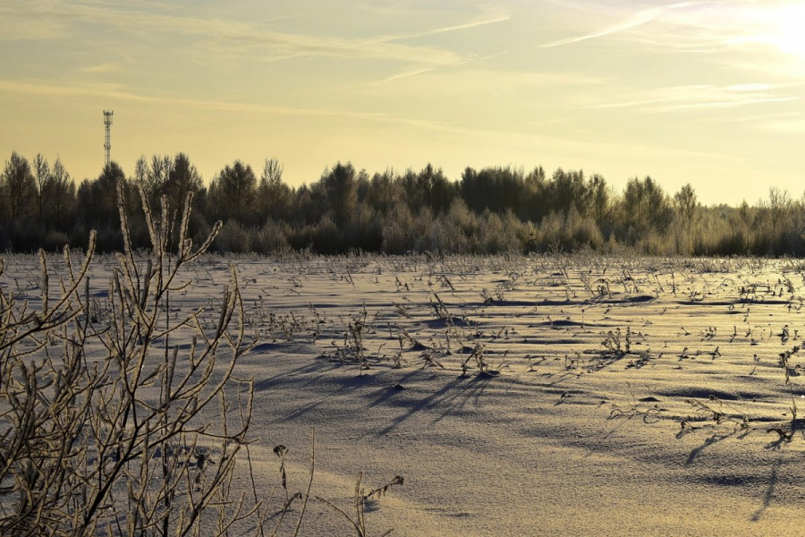 Поиски охотника завершились трагически в Атырауской области