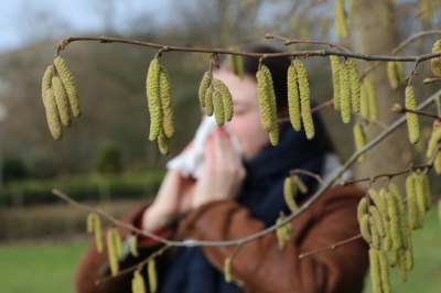 Дожди идут, но лучше не становится? Пыльца в Москве сегодня &mdash; 17 апреля