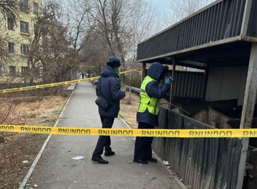 Тело новорожденного обнаружили в Кентау