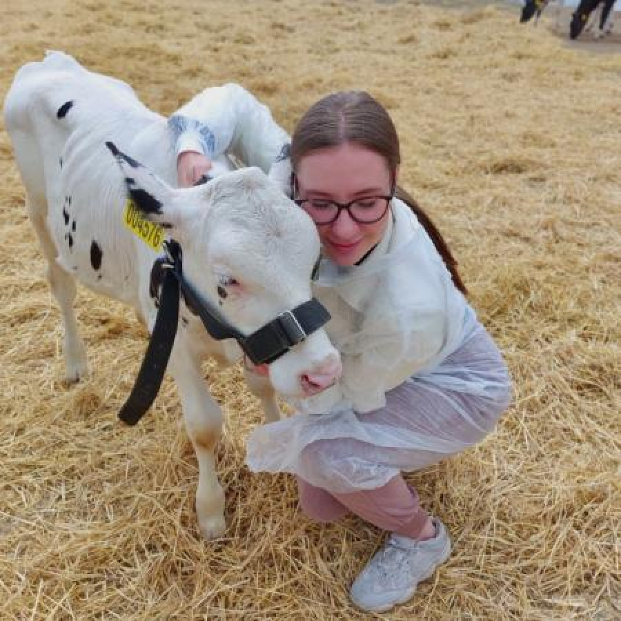 Здоровые телята &ndash; ключ к успеху фермы