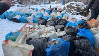 На пути в Астану изъяли 1,6 тонны марихуаны