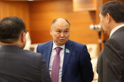 Расходуются огромные средства: мажилисмены о выборах районных акимов в Казахстане