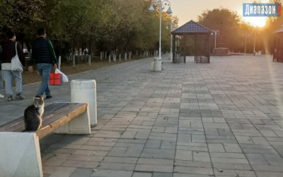 Погода в Актобе на 14-16 октября