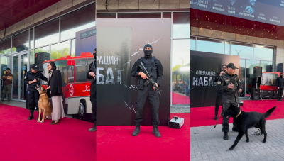 Кинологи АФМ поделились секретами обучения собак