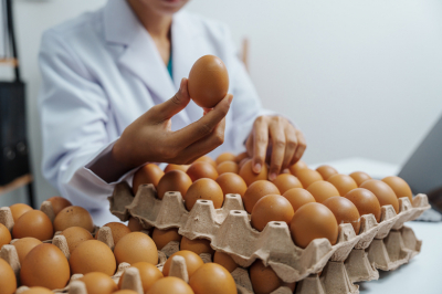 Цены на яйца взлетели во Франции из-за небывалого дефицита