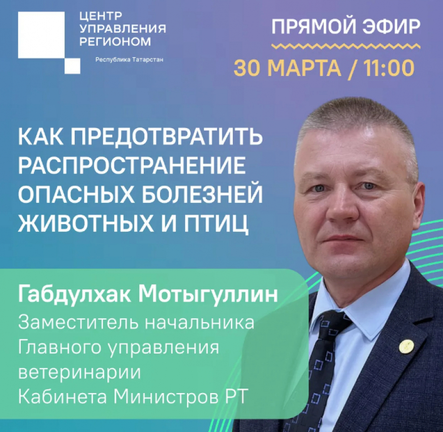 Татарстанцам в прямом эфире расскажут об инфекционных заболеваниях животных и птиц