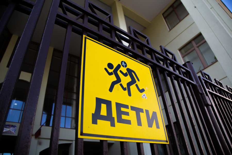 Общественница Золотницкая заявила о вине родителей в нападениях детей на школы