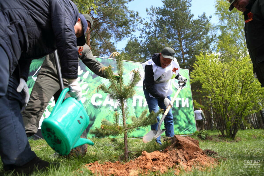 В Татарстане 25 апреля стартует акция &laquo;Сад памяти&raquo;