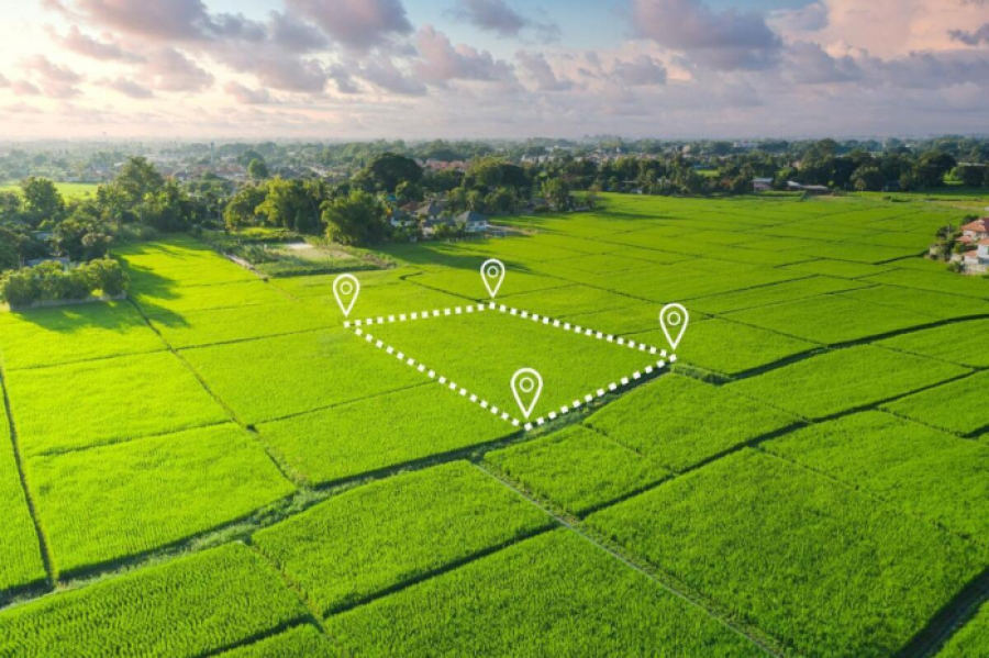 Более 600 гектаров сельхозземель возвращено государству в области Жетісу