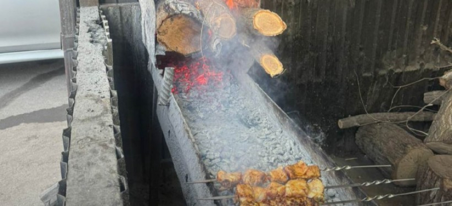 Использующие твердое топливо &quot;шашлычки&quot; выявляют в Алматы