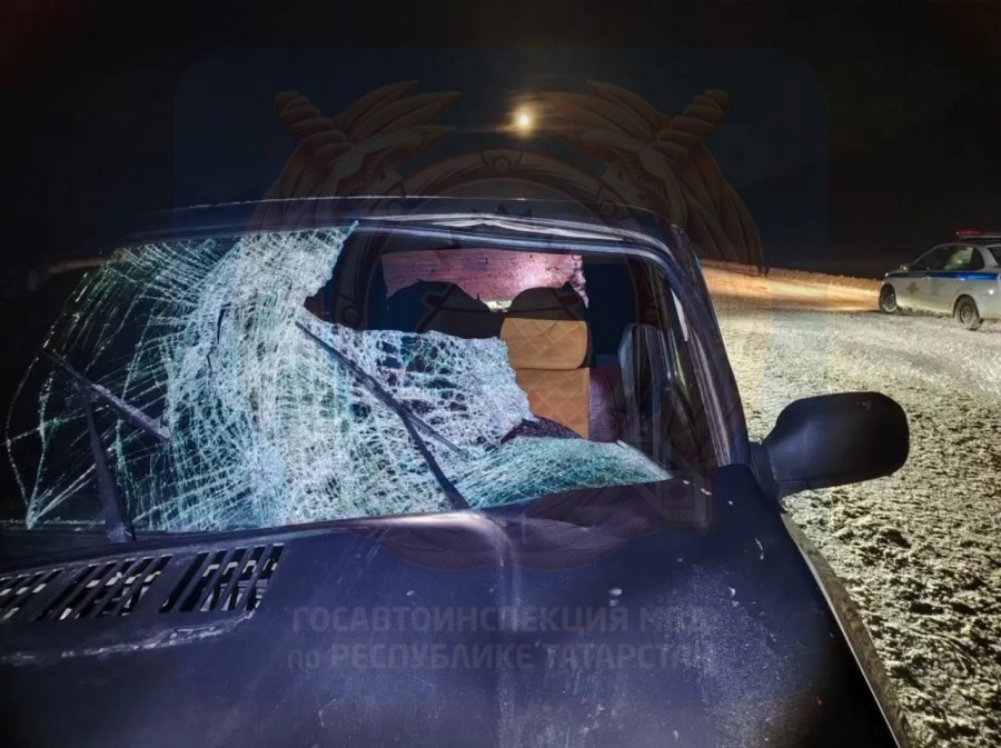 В Аксубаевском районе водитель &laquo;Лады&raquo; насмерть сбил 18-летнего пешехода